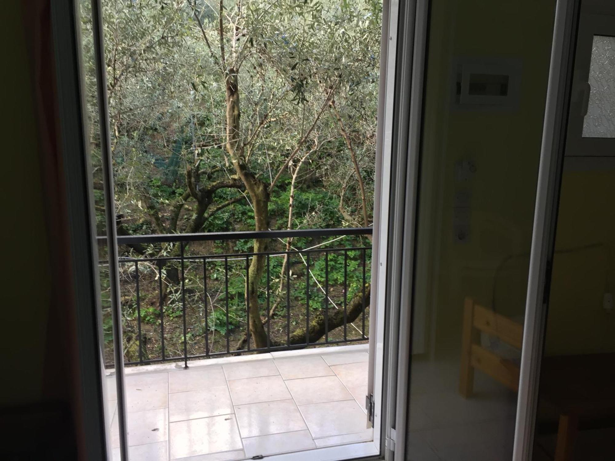 Belvedere Zakynthos Studios Василикос Номер фото