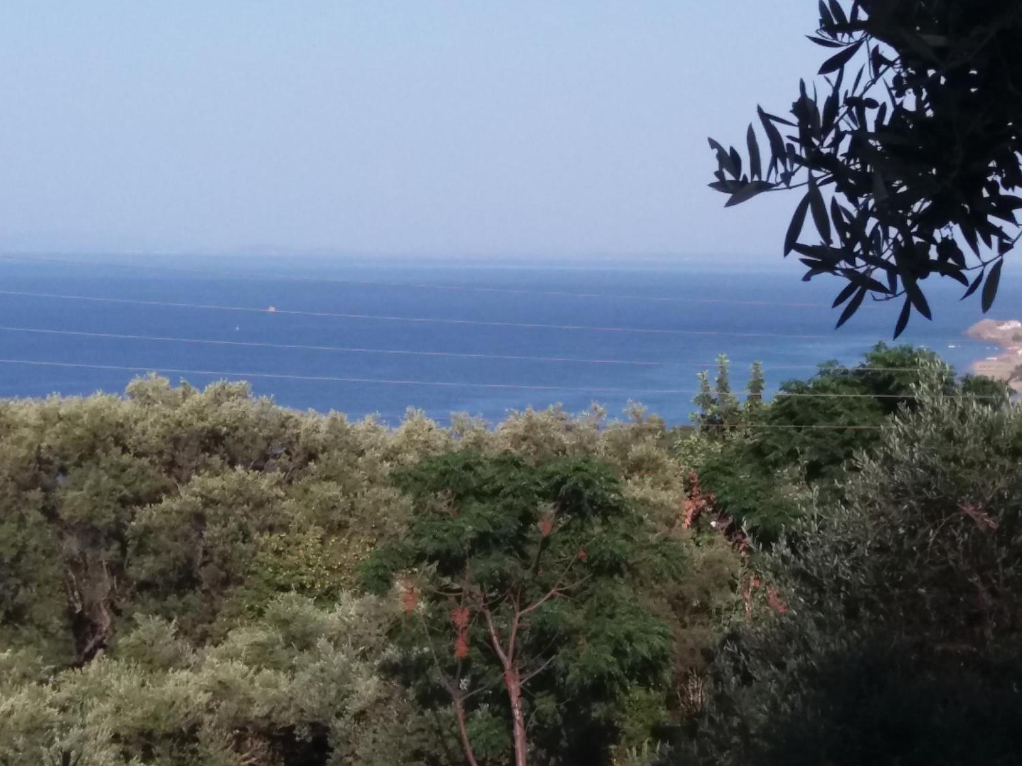 Belvedere Zakynthos Studios Василикос Номер фото